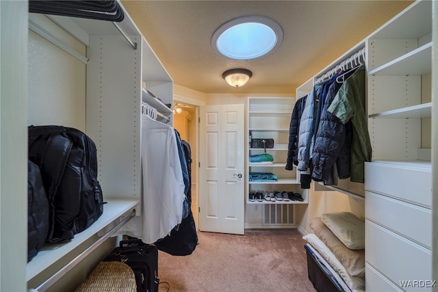 walk in closet with carpet floors