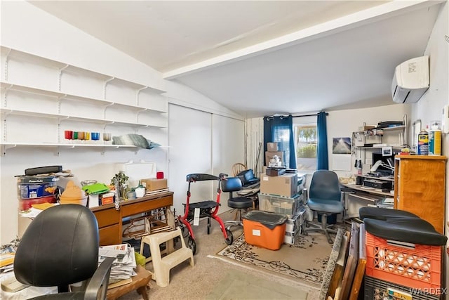 storage with a wall unit AC