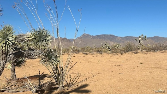 Listing photo 3 for 121 S Javelina Rd, Yucca AZ 86438