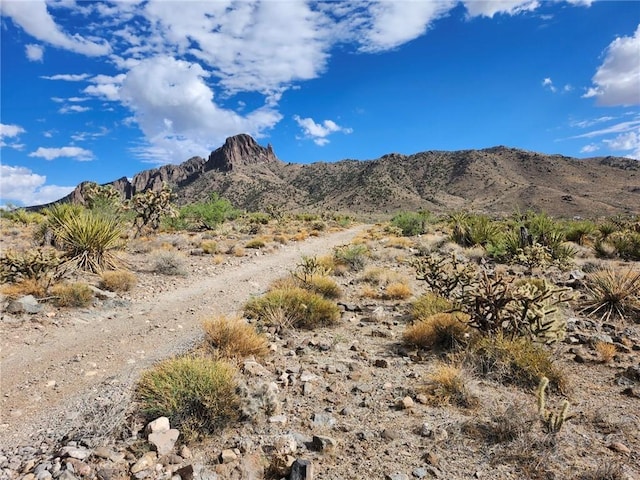 328-06-071 N Ocotillo Rd, Dolan Springs, AZ 86441