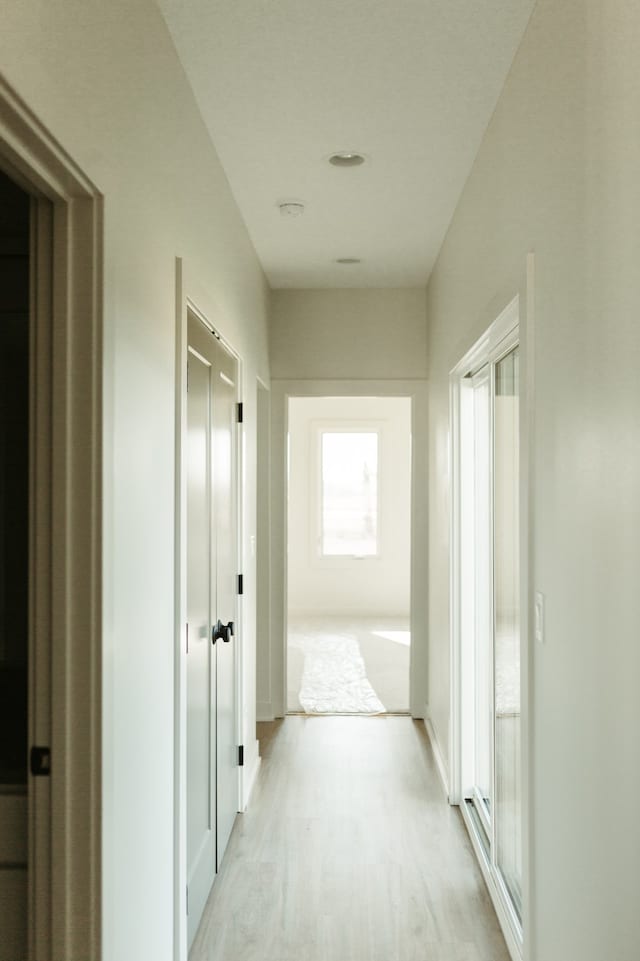 hall featuring light hardwood / wood-style floors