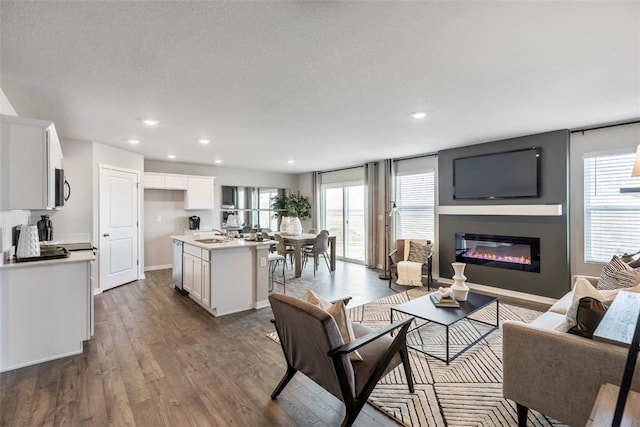 living room with a textured ceiling, dark hardwood / wood-style floors, and sink