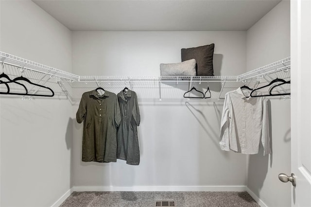 spacious closet featuring carpet