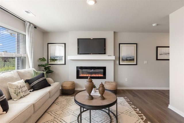 living room with wood-type flooring