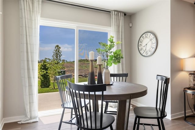 dining space with a healthy amount of sunlight and wood-type flooring