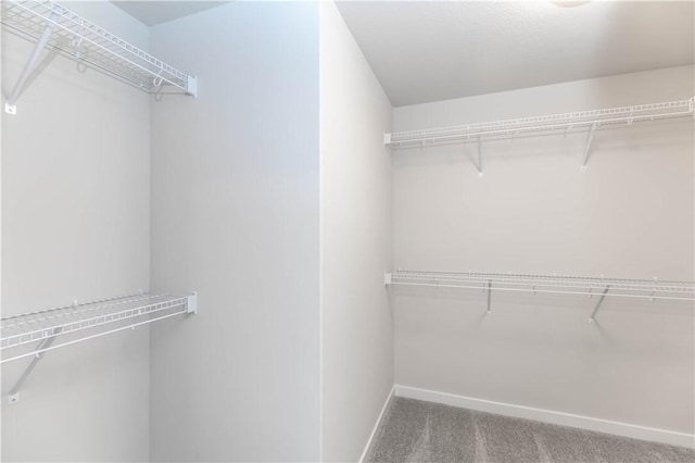 spacious closet with carpet