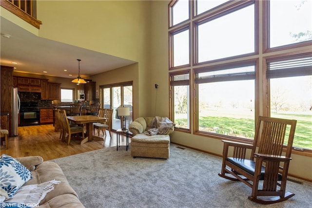 living room featuring light hardwood / wood-style floors and a high ceiling