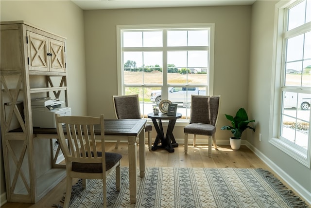 interior space featuring light hardwood / wood-style floors and a wealth of natural light