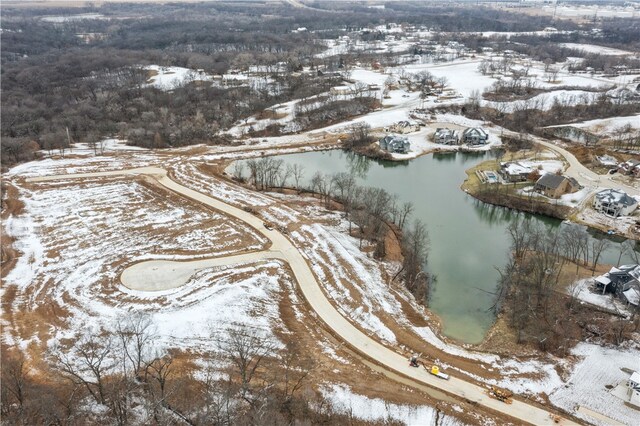 1083 Arbor Woods Dr, Pleasant Hill, IA 50327 - photo 2
