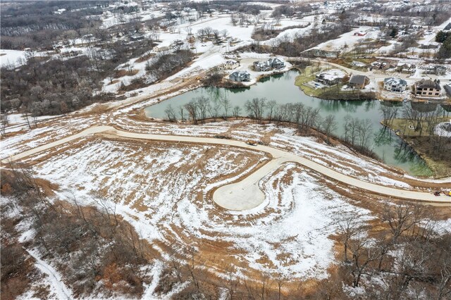 1083 Arbor Woods Dr, Pleasant Hill, IA 50327 - photo 4