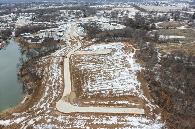 1083 Arbor Woods Dr, Pleasant Hill, IA 50327 - photo 8