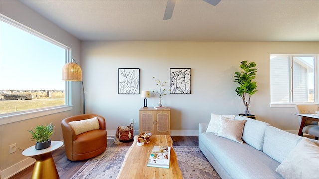 living room with hardwood / wood-style floors, ceiling fan, and plenty of natural light