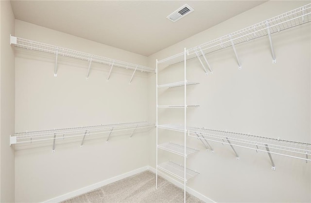 walk in closet with carpet floors