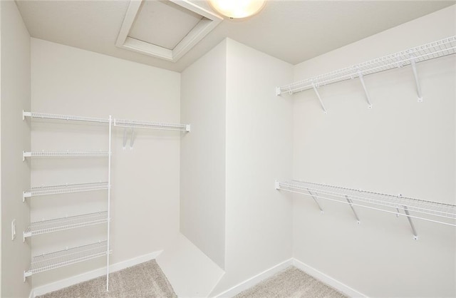 spacious closet featuring light carpet