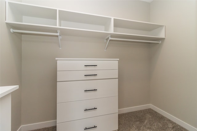 walk in closet with dark colored carpet