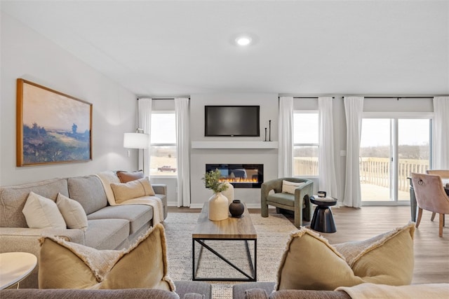 living room featuring light hardwood / wood-style floors