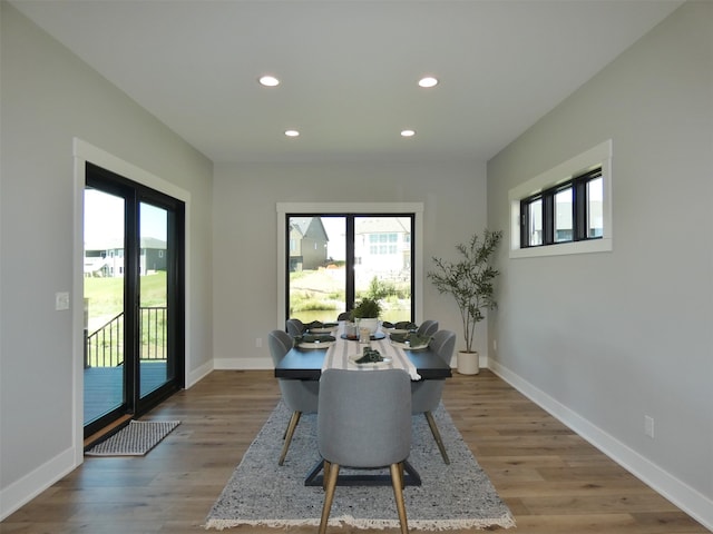 dining room with light hardwood / wood-style floors and a healthy amount of sunlight