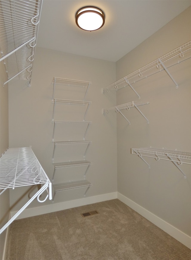 spacious closet with carpet floors