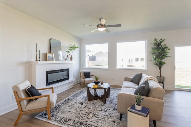 living room with ceiling fan and hardwood / wood-style flooring