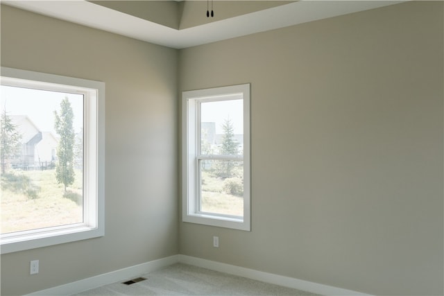 view of carpeted spare room