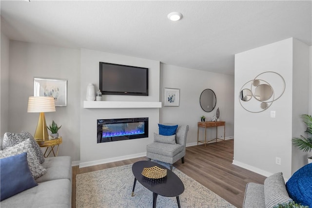 living room with wood-type flooring