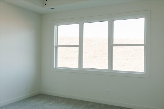 carpeted spare room with a wealth of natural light