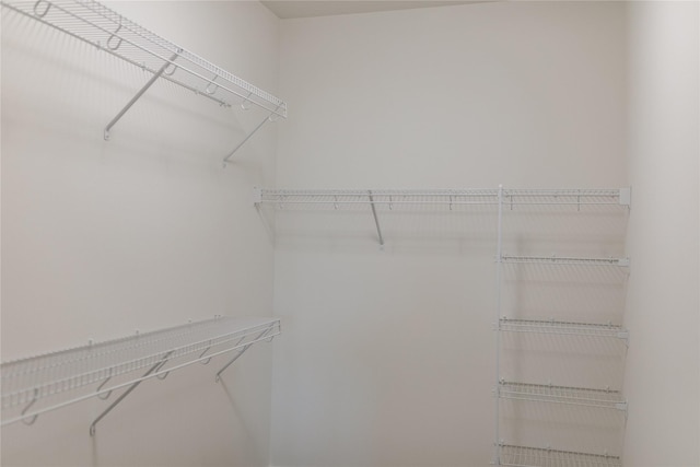 view of spacious closet