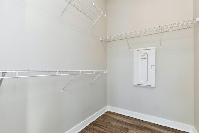 spacious closet with dark wood-type flooring and electric panel