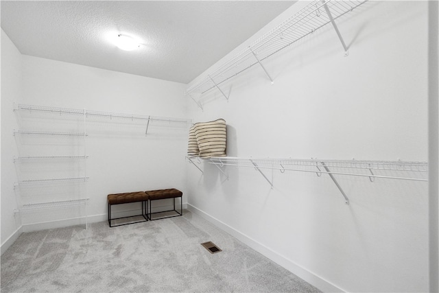 spacious closet featuring light colored carpet