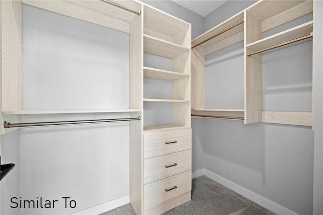 walk in closet with carpet flooring