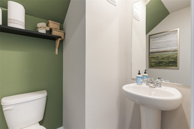 bathroom with toilet and vaulted ceiling