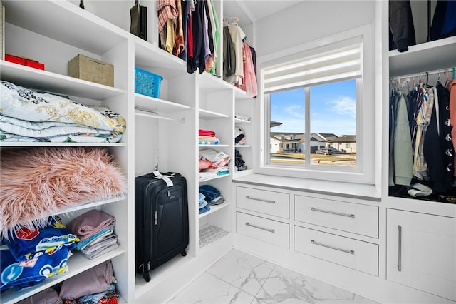 view of walk in closet