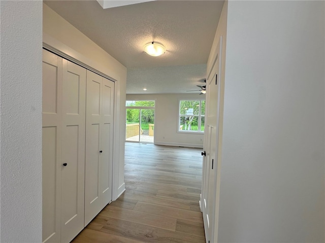 corridor featuring light hardwood / wood-style floors and a textured ceiling