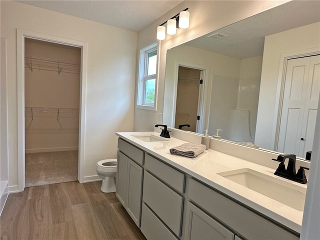 bathroom featuring toilet, vanity, and hardwood / wood-style flooring