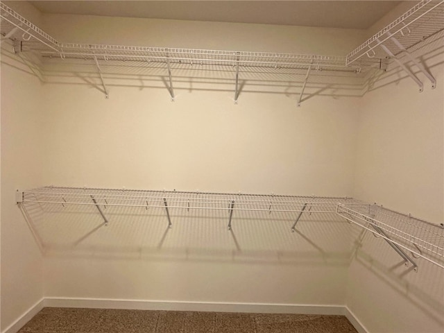 walk in closet featuring carpet