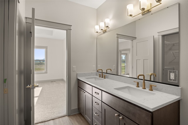 bathroom featuring hardwood / wood-style floors and vanity