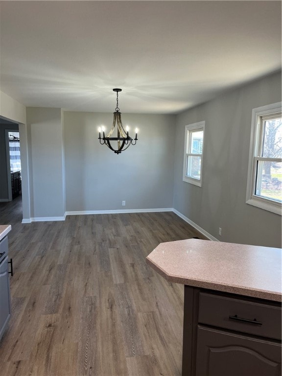 unfurnished dining area featuring a chandelier and hardwood / wood-style flooring