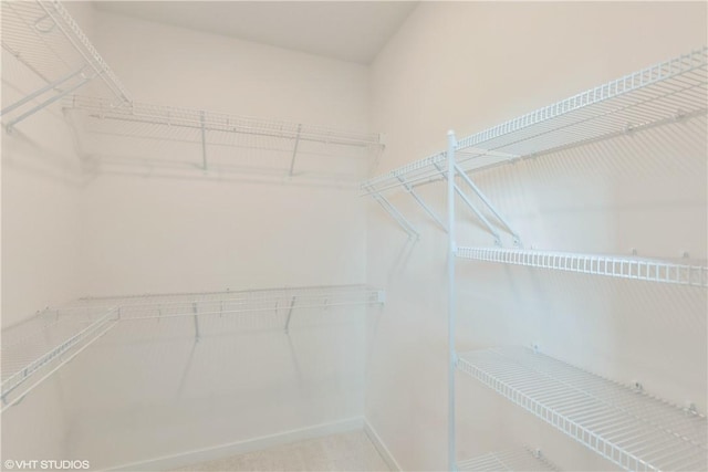 spacious closet with carpet flooring