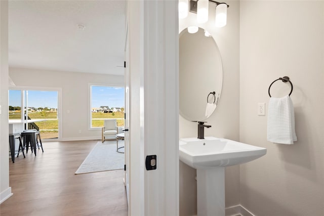 bathroom with hardwood / wood-style floors