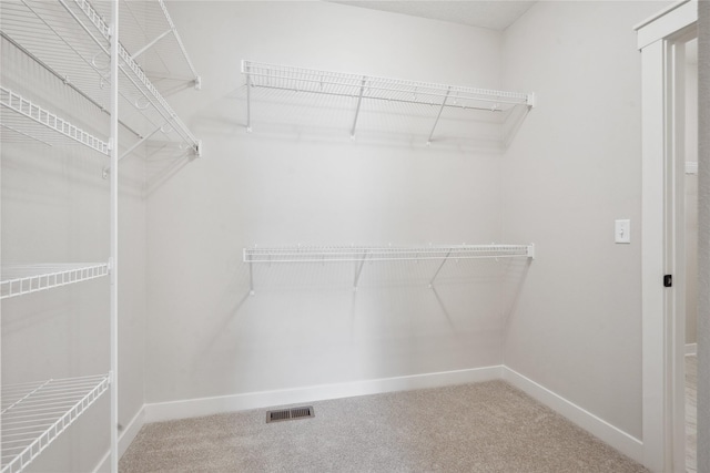 spacious closet featuring carpet flooring