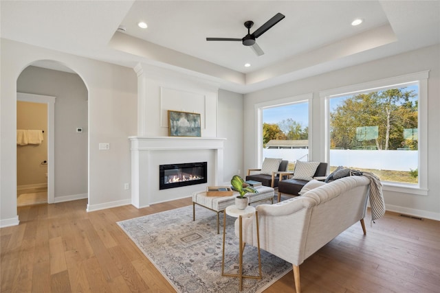 living room with a healthy amount of sunlight, a raised ceiling, and light hardwood / wood-style floors