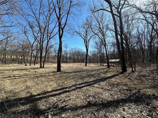 000 Ivy Trl, Winterset, IA 50273 - photo 11