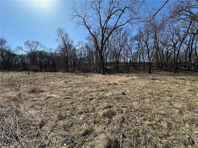 000 Ivy Trl, Winterset, IA 50273 - photo 12
