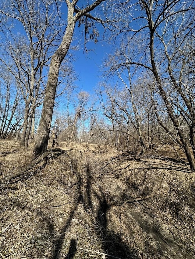 000 Ivy Trl, Winterset, IA 50273 - photo 13