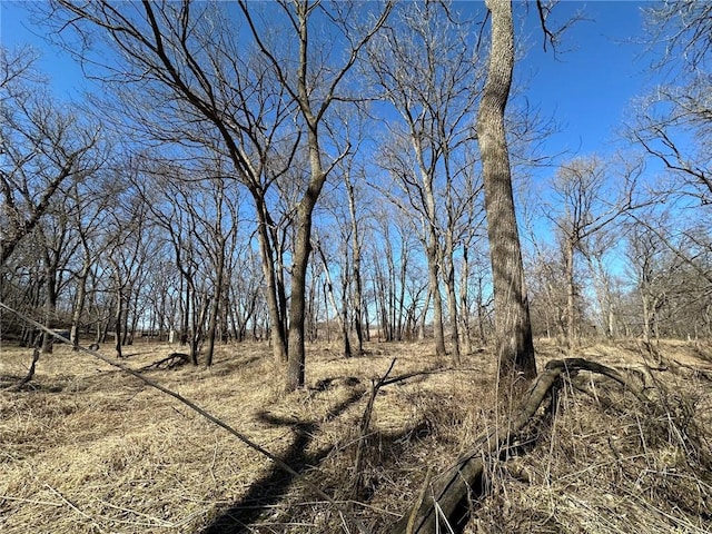 000 Ivy Trl, Winterset, IA 50273 - photo 15