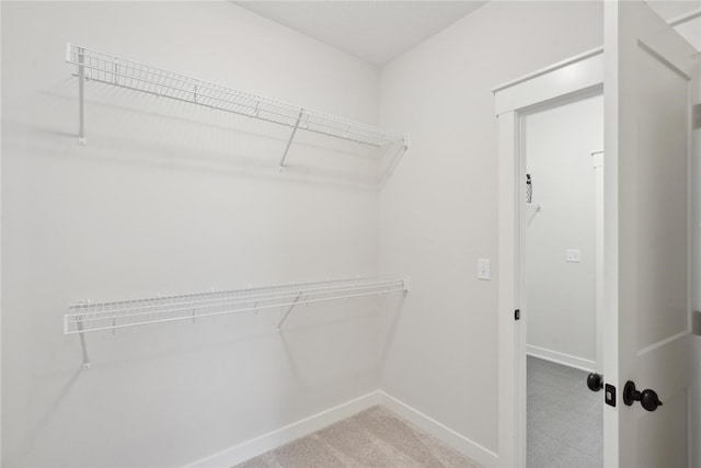 view of walk in closet