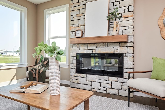 living area with a stone fireplace and wood-type flooring