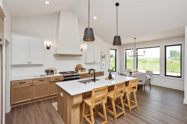 kitchen featuring stainless steel gas stove, a sink, wood finished floors, premium range hood, and a kitchen breakfast bar