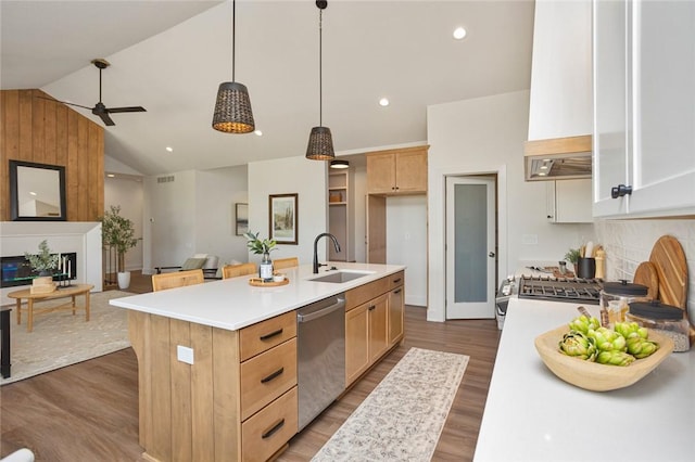 kitchen with dark wood-style flooring, a fireplace, a sink, and stainless steel dishwasher