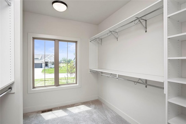 walk in closet featuring light carpet